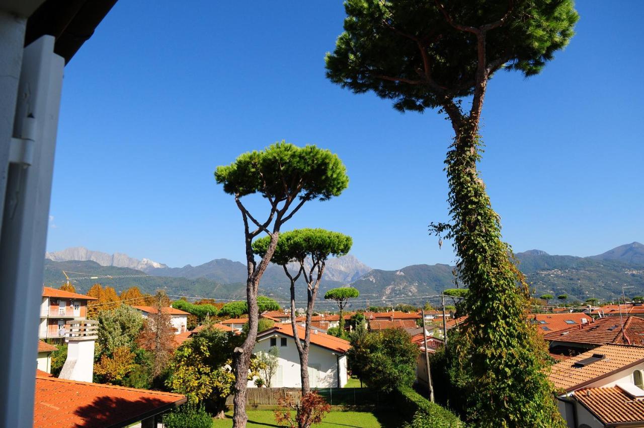 Olive Beach Forte Dei Marmi Kültér fotó